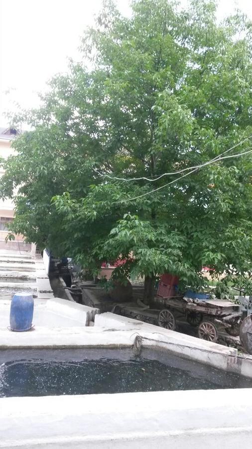 Alanlar Alabalik Ve Otel Ağlasun Eksteriør billede